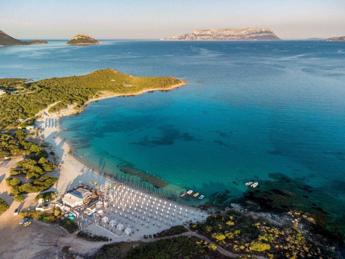 Spiaggia Bianca Pedra Rosa - Your House In Sardinia 阿兰奇湾城 外观 照片